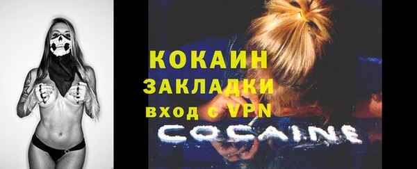 крисы Майский