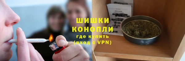 Альфа ПВП Лиски