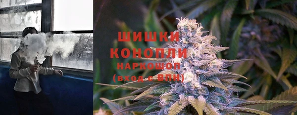 каннабис Магас