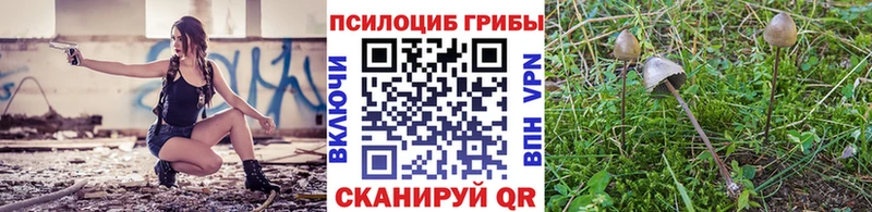 Псилоцибиновые грибы мицелий  hydra ССЫЛКА  Тогучин 