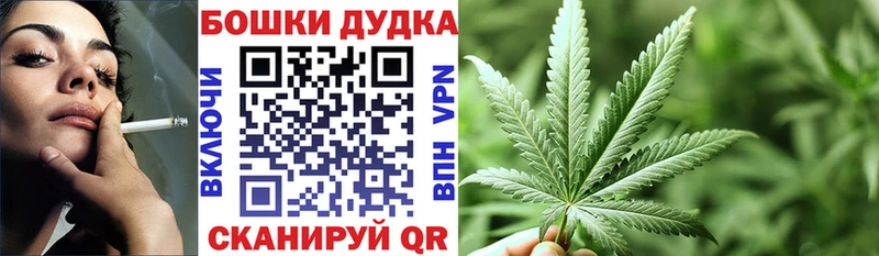 Каннабис Amnesia  где продают наркотики  Тогучин 